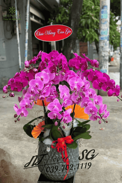 Mẫu Hoa Khai Giảng 2025 Quận Tân Bình, TPHCM